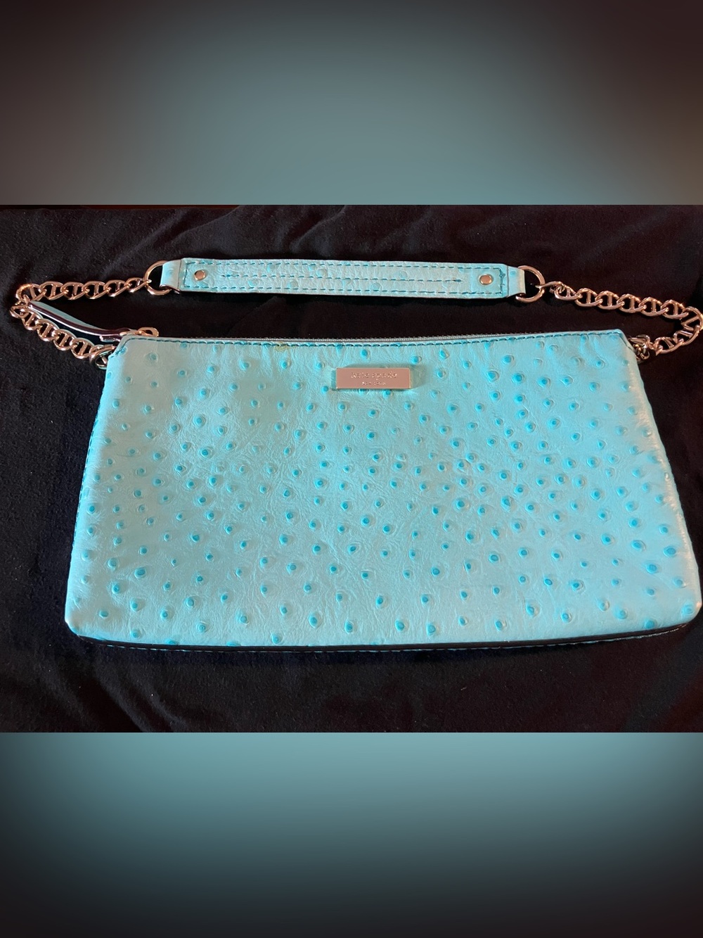 kate spade byrd wellesley clutch in pool blue ostrich